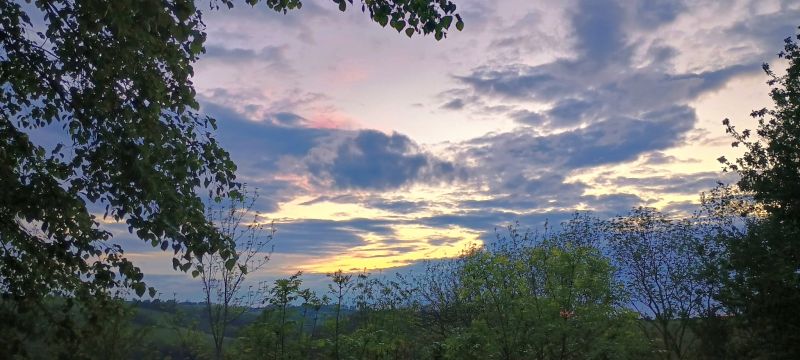 trebnitzstein_2024_029